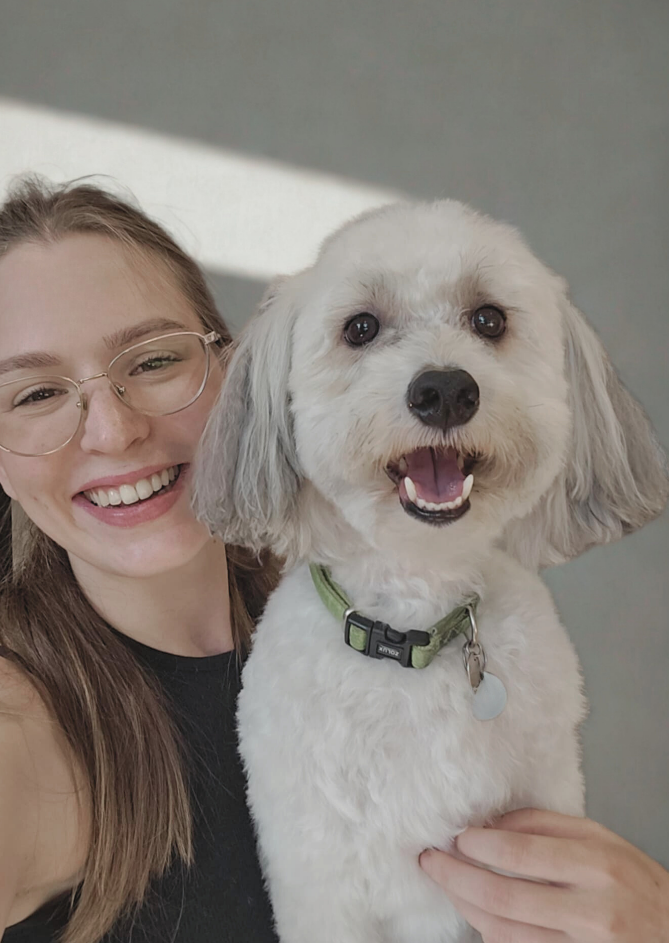 Toiletteuse et chien